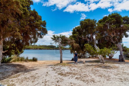 Téléchargez les photos : Augusta, WA - Australie 12-10-2022 L'eau tranquille d'Augustas Hardy Inlet, au sud-ouest de l'Australie-Occidentale, un endroit de beauté pour une promenade, une baignade, un kayak, une croisière, un poisson ou un pique-nique relaxant - en image libre de droit