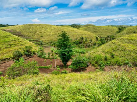 Téléchargez les photos : Teletubbies Hill situé dans le village de Tanglad, sous-district de Nusa Penida, Bali - en image libre de droit
