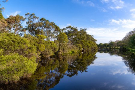 Photo for Vasse-Wonnerup wetlands, the Lower Vasse River is made up of the Vasse and Wonnerup estuaries - Royalty Free Image