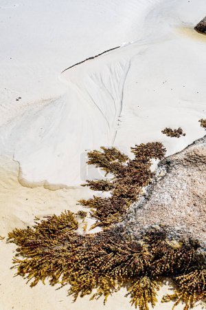 Photo for Textures in the sand at Thistle Cove at Cape le Grande, Esperance - Royalty Free Image
