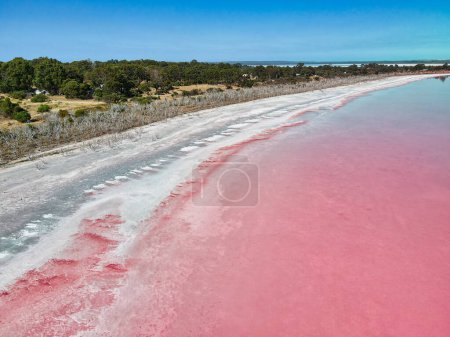 Photo for Lake Warden is a salt lake in Esperance region of Western Australia which was pink in colour unlike Pink Lake which was not pink. - Royalty Free Image