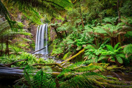Foto de Hopetoun Falls es una cascada a través del río Aire que se encuentra en la región de Los Otways de Victoria, Australia.. - Imagen libre de derechos
