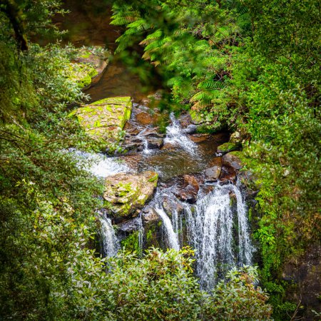 Photo for The Hopetoun Falls is a waterfall across the Aire River that is located in The Otways region of Victoria, Australia. - Royalty Free Image