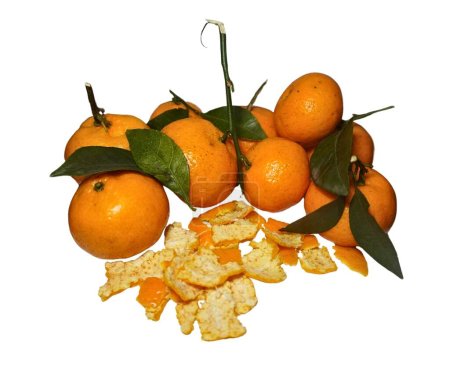 Foto de Fruta naranja sabe dulce y delicioso - Imagen libre de derechos