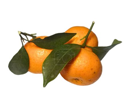 Foto de Fruta naranja dulce sobre fondo blanco - Imagen libre de derechos