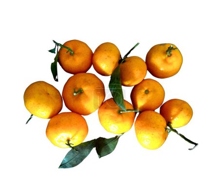Foto de Fruta naranja dulce sobre fondo blanco - Imagen libre de derechos
