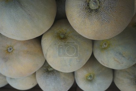 Background with piles of melons