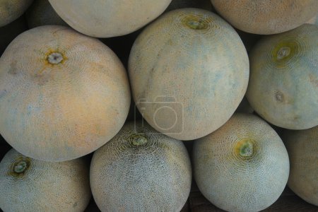 Background with piles of melons