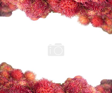 Rambutan Fruit : Délice exotique de l'Asie du Sud-Est