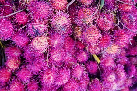 Rambutan-Frucht: Exotische Freude in Südostasien