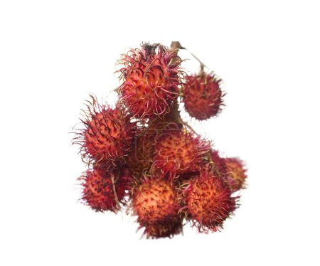 Rambutan Fruit: Delicia exótica del sudeste asiático