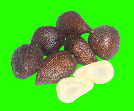Salak Fruit: Exotic Gem of Southeast Asia
