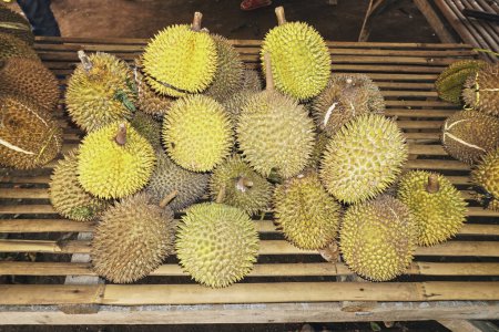 Durian fruta sabe dulce y delicioso