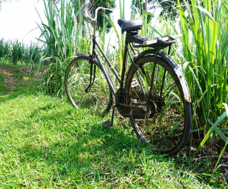 Foto de Bicicleta Onthel, un antiguo vehículo de dos ruedas - Imagen libre de derechos