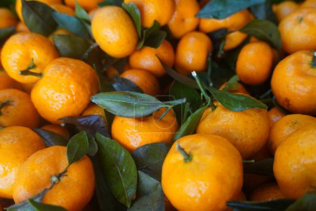 Orange fruit tastes sweet and delicious