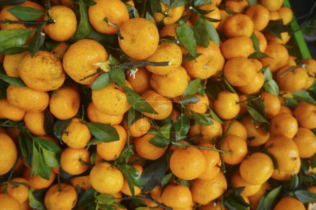 Fruta naranja sabe dulce y delicioso