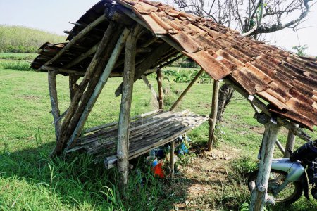 Traditional hut house in rice fields and fields