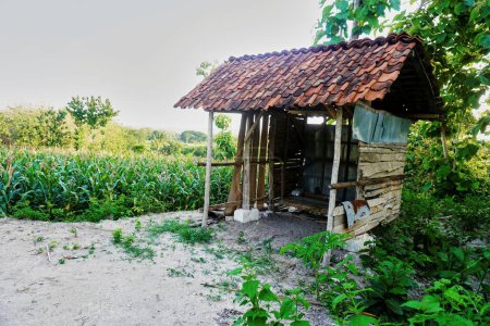 Traditional hut house in rice fields and fields