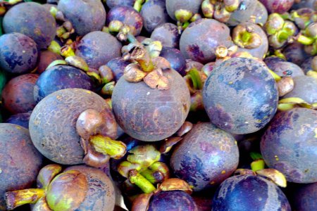 Mangosteen, sweet, tangy, purple, juicy, tropical, antioxidant-rich, nutritious, exotic.