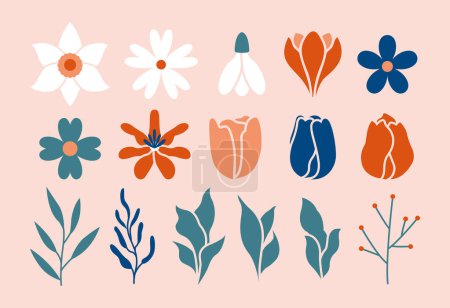 Illustration for Springtime botanical clip arts. Set of minimal spring plants, flowers, snowdrops, berries, daffodils, tulips, branches, leaves. Cute illustrations in flat style. Romantic, elegant collection. - Royalty Free Image