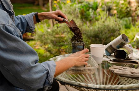 Téléchargez les photos : Jardinage avec des matériaux recyclés. Une femme remplissant des pots faits de feuilles de journal dans le jardin. - en image libre de droit