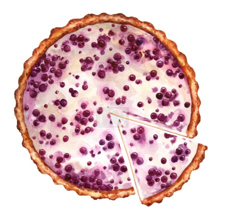 Finnish blueberry pie and slice pie isolated on white background. Watercolor hand drawn illustration. Suitable for menus, restaurants and cookbook. Top view.  