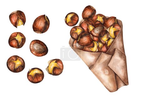 Photo for Roasted chestnuts in a  paper cornet isolated on white background. Traditional seasonal French street food. Watercolor hand drawn illustration. Suitable for menu, cookbook and restaurant - Royalty Free Image