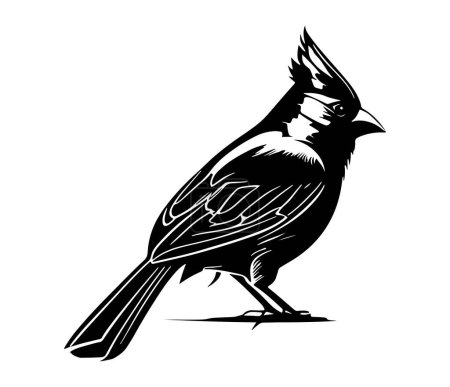 Téléchargez les illustrations : Cardinal rouge Silhouette Icône, oiseau cardinal, cardinal rouge, - en licence libre de droit
