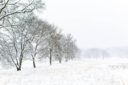 Winterzeit in Chatham, New Jersey mit schneebedeckten Bäumen während des Schneesturms