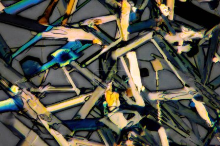Fotografía macro extrema de cristales Epsom Salts que forman patrones abstractos de arte moderno, cuando se iluminan con luz polarizada, bajo un objetivo de microscopio con aumento de 50x