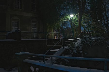 Noche de invierno en el parque. Una linterna eléctrica solitaria, escondida entre la vegetación de una tuja cercana, ilumina la oscuridad con su luz brillante. El suelo está cubierto con una capa de nieve.