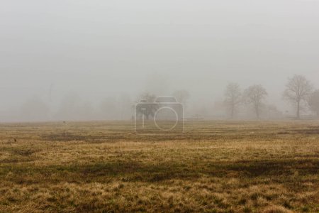 A vast plain on a snowless winter morning covered with yellow, dry grass. A thick fog hangs over the ground. In the fog, you can faintly see leafless trees in the distance.