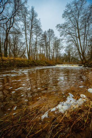 A small, wild, unregulated river in a snowless winter. The water is dark brown in color. There is a tall, leafless forest growing around. A small foamy waterfall crosses the riverbed.