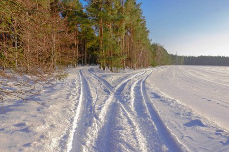 The plain is covered with a layer of snow. It's a sunny, cloudless day. There are traces of car wheels in the snow, forming a fork, from which the left one turns into the forest, the right one into the surrounding fields.