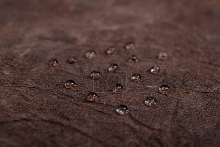 Photo for Round water drops on dark brown leather texture, side view, soft focus macro - Royalty Free Image