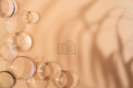 Clear magnifying lenses on bright cream background, with palm leaves shadows 