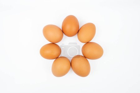 Sieben ring- oder kreisförmig angeordnete Eier, isoliert auf weiß 