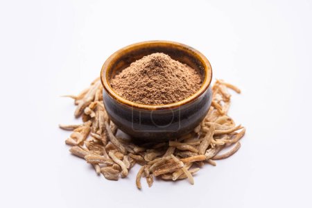 Ayurvedic Potent herb musli  also known as Safed Moosli or Swetha Musli in powder and Raw form