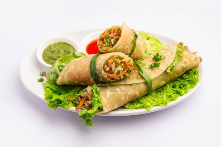 Foto de Indian chapati veg spring Rollos llenos de verduras y especias, también llamado franky - Imagen libre de derechos