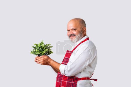 Indian asian senior elderly old man holting small tree in pot and looking at camera