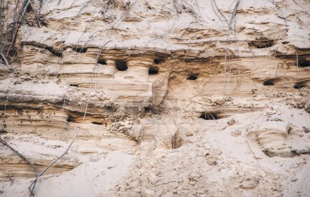 Foto de Trague agujeros en tierra arcillosa. La madriguera del pájaro en la arena. Fondo natural. - Imagen libre de derechos