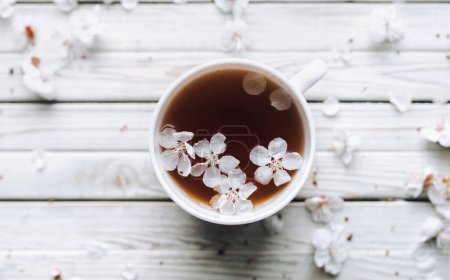Foto de Taza de té y flor de albaricoque de primavera sobre un fondo de madera. Rústico. Copiar espacio. Vista aérea. - Imagen libre de derechos