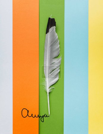 Téléchargez les photos : Plume sur papier multicolore comme symbole de poésie. Concept d'écriture et de poésie. Journée mondiale de la poésie
. - en image libre de droit