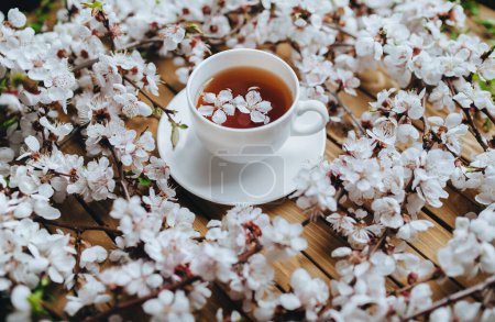 Téléchargez les photos : Tasse blanche de thé vert et de fleurs d'abricot de printemps sur un fond brun en bois. Rustique. Concept de printemps. - en image libre de droit
