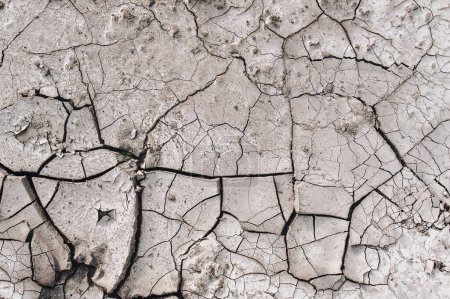 Téléchargez les photos : Terre fissurée sèche. Sol pendant la saison de sécheresse. Arrière plan rapproché. La texture du désert. Vue du dessus. - en image libre de droit