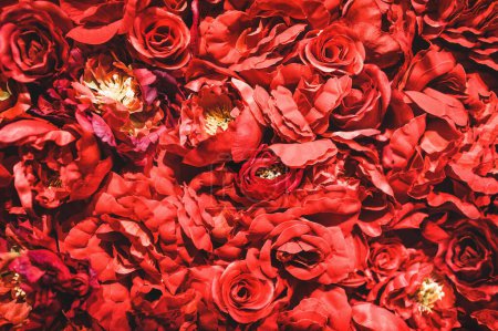 Photo for Background of red flowers. Many roses. Texture. Peonies. Close-up. Decor. - Royalty Free Image