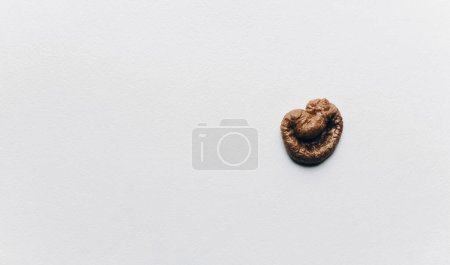 Photo for Shit of cat or dog on a white background. The concept of bad quality, false news and propaganda. Copy space. - Royalty Free Image