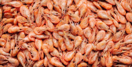 Téléchargez les photos : Crevettes texture de fond. Beaucoup de crevettes marines ou de krill. Fruits de mer comme les crevettes ou le krill sur le festival de la nourriture de rue
. - en image libre de droit