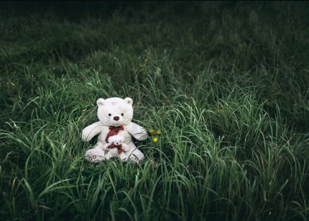 Photo for A white teddy bear is sitting on the green grass. - Royalty Free Image