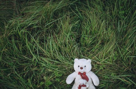 Téléchargez les photos : Un ours en peluche blanc est assis sur l'herbe verte. vue de dessus. - en image libre de droit